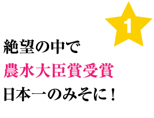 絶望の中で農水大臣賞受賞！日本一のみそに